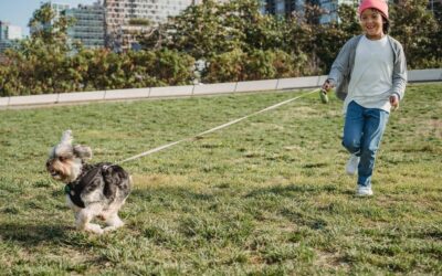 The Connection Between Physical Activity and Behavior